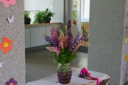 2024 m. Paskutinis skambutis